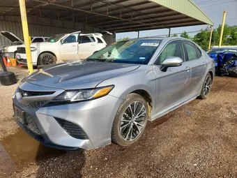 2019 Toyota Camry 4T1B11HKXKU225065 Lot 49399876