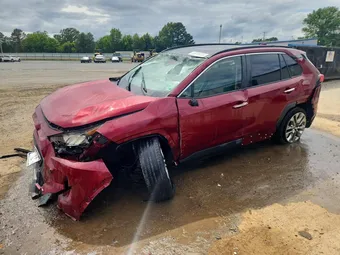 2019 Toyota RAV4 JTMY1RFV4KD516445 Lot 50959026