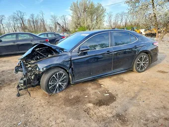 2020 Toyota Camry 4T1J31AK9LU542384 Lot 48216226