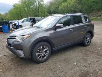 2016 Toyota RAV4 JTMRJREV7GD025980 Lot 53095816