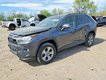 2019 Toyota RAV4 JTMW1RFV2KD506147 Lot 49854466