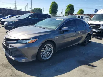 2019 Toyota Camry 4T1B11HK0KU297957 Lot 51343726