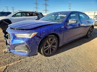 2021 Acura TLX 19UUB5F59MA013889