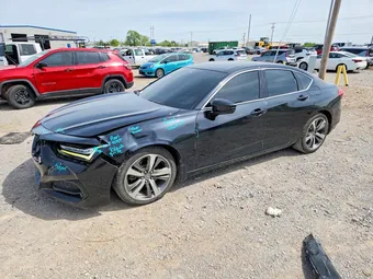 2021 Acura TLX 19UUB5F69MA006403