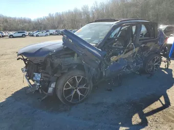 2020 BMW X5 5UXJU4C09L9C18290 Lot 49380366