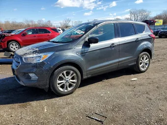 2019 Ford Escape 1FMCU0GD4KUA13349 Lot 46141966