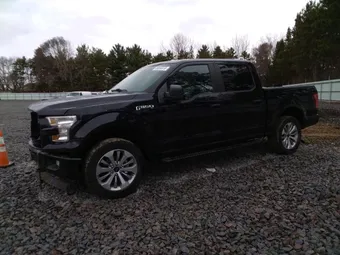 2017 Ford F-150 1FTEW1EP6HKE19051 Lot 48059516