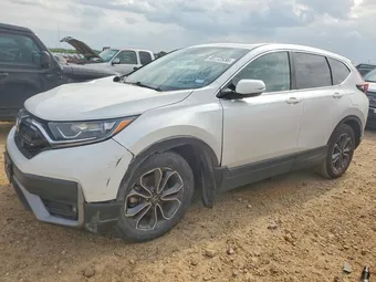 2022 Honda CR-V 5J6RW1H88NA019249 Lot 49772936