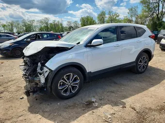 2020 Honda CR-V 2HKRW2H5XLH669708 Lot 50259186