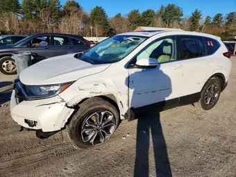 2020 Honda CR-V 2HKRW2H81LH654055 Lot 41969386