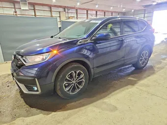 2020 Honda CR-V 2HKRW2H85LH609250 Lot 51779216