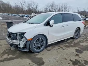 2024 Honda Odyssey 5FNRL6H93RB069283 Lot 77596265