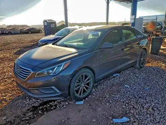 2016 Hyundai Sonata 5NPE24AF5GH416519 Lot 92303415