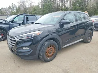 2017 Hyundai Tucson KM8J23A43HU560130 Lot 50713366