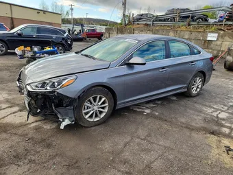 2019 Hyundai Sonata 5NPE24AF5KH762028 Lot 50295616