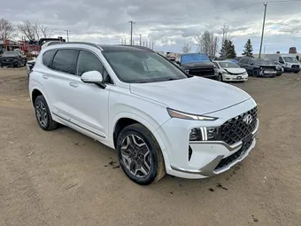 2021 Hyundai Santa Fe 5NMS5DAL7MH343792 Lot 53025676