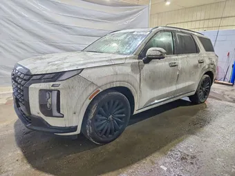2025 Hyundai Palisade KM8R7DGEXSU829838