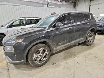 2023 Hyundai Santa Fe 5NMS2DAJ8PH585793 Lot 77781655