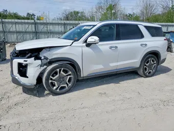 2025 Hyundai Palisade KM8R4DGE1SU911885