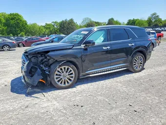 2020 Hyundai Palisade KM8R5DHE4LU100479