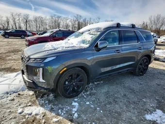 2025 Hyundai Palisade KM8R3DGE3SU920168