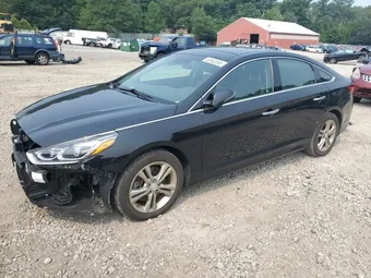 2019 Hyundai Sonata 5NPE34AF5KH783216 Lot 66960395