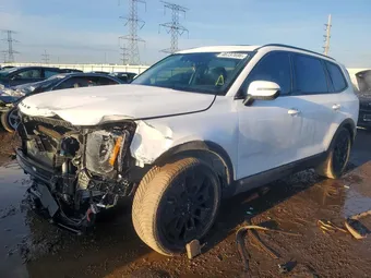 2022 Kia Telluride 5XYP5DHC2NG209103