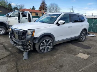 2022 Kia Telluride 5XYP6DHC7NG285803 Lot 50484616