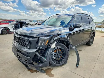 2025 Kia Telluride 5XYP5DGC4SG654777 Lot 45449226