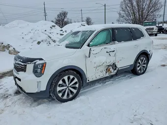 2020 Kia Telluride 5XYP5DHCXLG007560 Lot 76350195