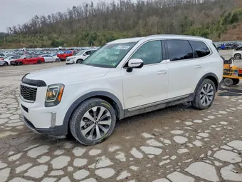 2020 Kia Telluride 5XYP6DHC3LG003492