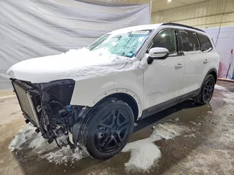 2025 Kia Telluride 5XYP5DGC0SG580452
