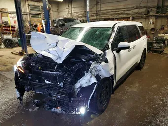 2025 Kia Carnival KNDNB5K38S6483015