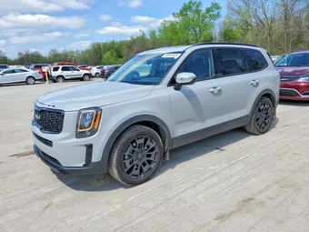 2022 Kia Telluride 5XYP3DHC8NG247781