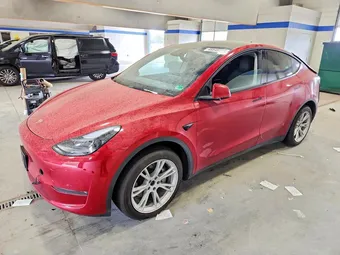 2023 Tesla Model Y 7SAYGAEE6PF797281 Lot 49549266