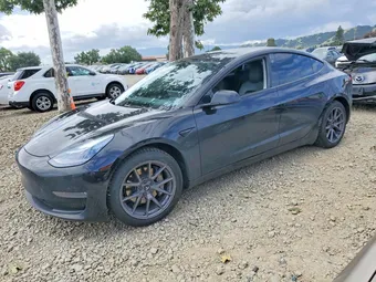 2022 Tesla Model 3 5YJ3E1EB2NF123645 Lot 51529776