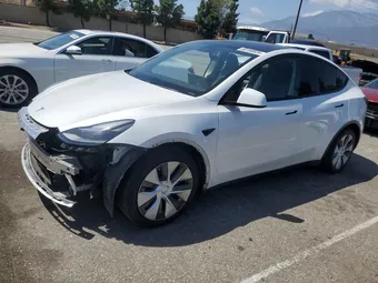 2020 Tesla Model Y 5YJYGDEE1LF057484 Lot 50160826