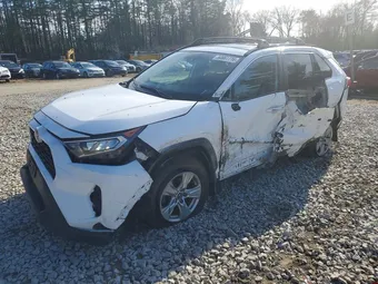 2019 Toyota RAV4 2T3P1RFV0KC051419 Lot 50861116