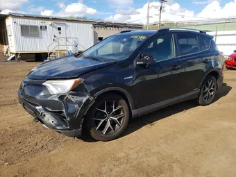 2017 Toyota RAV4 JTMJJREV0HD087400 Lot 50315106