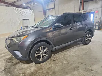 2016 Toyota RAV4 2T3RFREV9GW448449 Lot 50600276