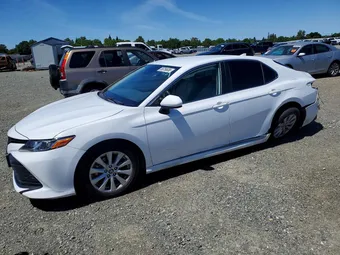2019 Toyota Camry 4T1B11HK2KU264314 Lot 50756636