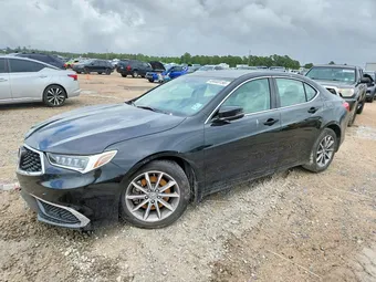 2019 Acura TLX 19UUB1F34KA006708