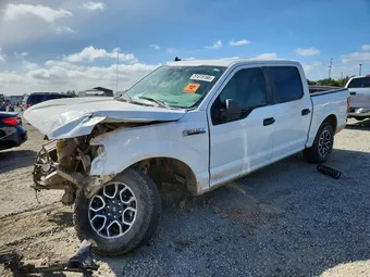 2020 Ford F-150 1FTEW1EP7LKE39897 Lot 51315166