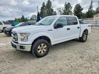 2016 Ford F-150 1FTEW1EF2GKE04827 Lot 52099076