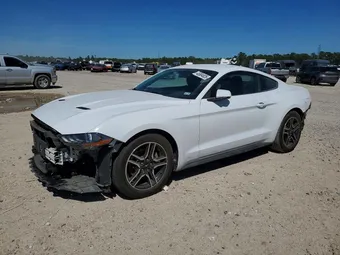2019 Ford Mustang 1FA6P8TH7K5172561 Lot 45804826