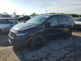 2023 Honda Odyssey 5FNRL6H71PB027786 Lot 55023416