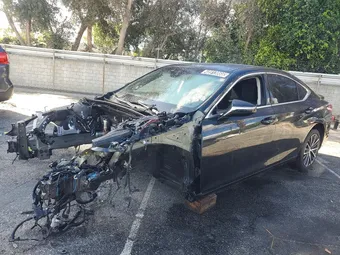 2024 Lexus ES 300H 58ADA1C10RU044521 Lot 48913866