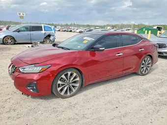 2023 Nissan Maxima 1N4AA6FV7PC508231 Lot 48013446