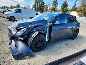 2023 Tesla Model Y 7SAYGAEE6PF762384 Lot 51131716