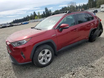 2020 Toyota RAV4 2T3RWRFV8LW084419 Lot 50525356